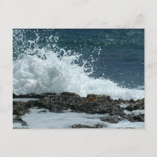 Cartão Azul Oceano/ Resposta