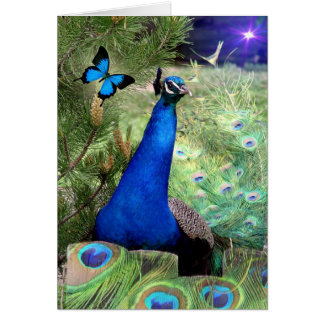 Cartão Azul Verdadeiro