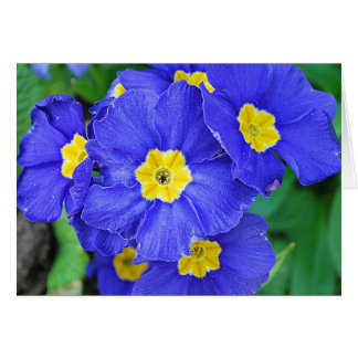 Cartão Azul vibrante