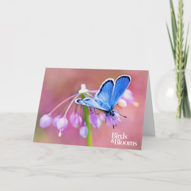 Cartão Azure Butterfly (Frente)