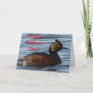 Cartão B1 Eared Grebe