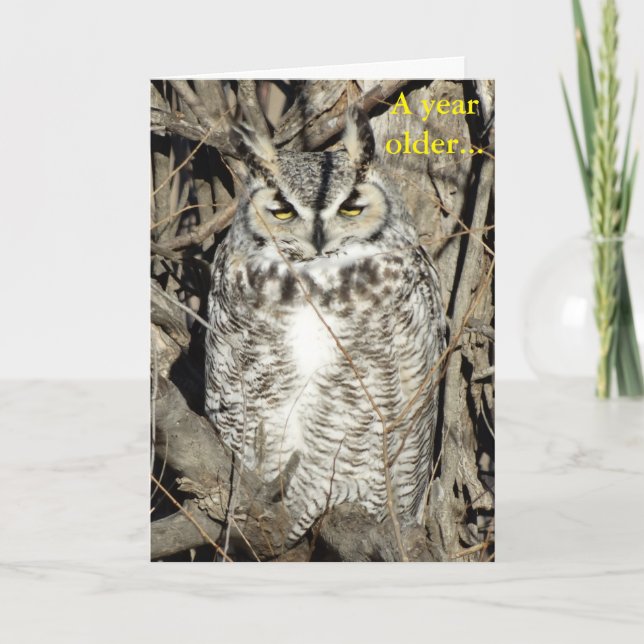 Cartão B51 Great Horned Owl (Frente)