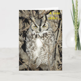 Cartão B51 Great Horned Owl