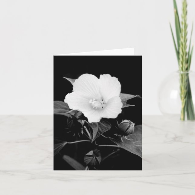 Cartão B&W Rose Mallow Blank Note Card (Frente)