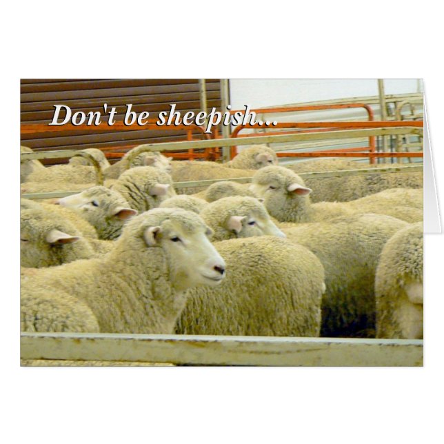 Cartão Baaaaa! - Permaneça em contacto! (Frente Horizontal)