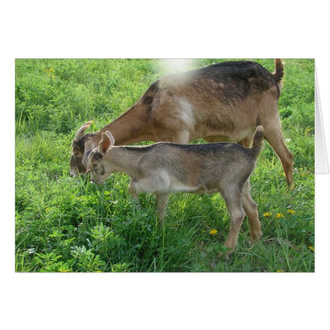 Cartão Babá e Criança (Frente Horizontal)