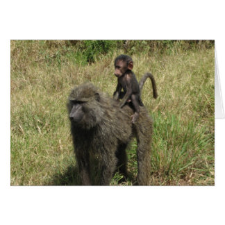 Cartão Baboon, mãe e bebê