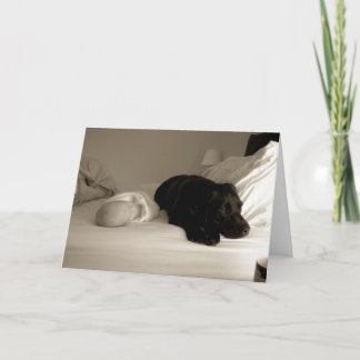 Cartão Baby and dog