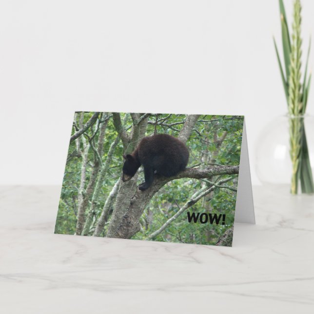 Cartão baby bear birthday card (Frente)