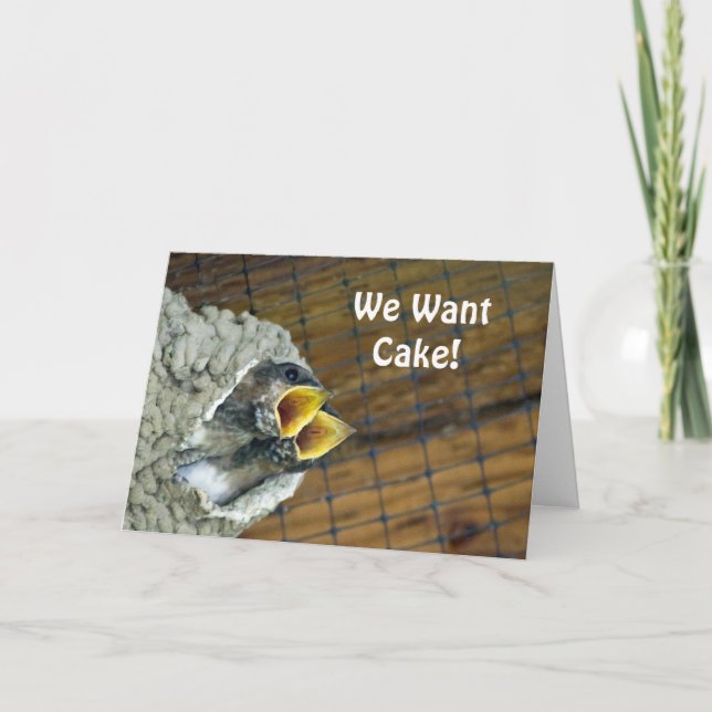 Cartão Baby Bird Birthday Card (Frente)