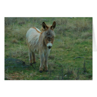 Cartão Baby Burro