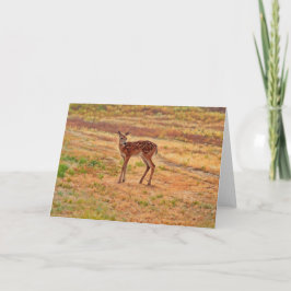 Cartão Baby Deer Fawn Wild Animal Art Note Card