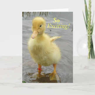Cartão Baby Duck Birthday Card