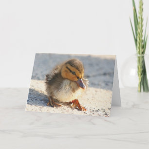 Cartão Baby Duck Duckling Card