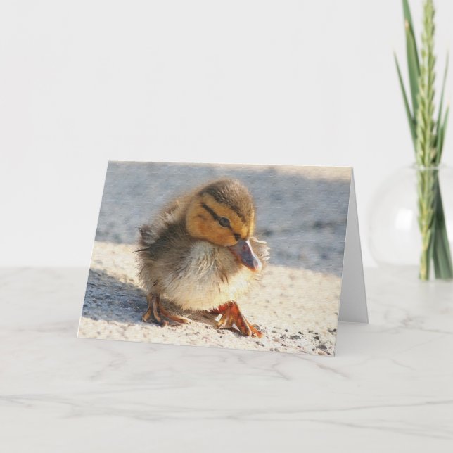 Cartão Baby Duck Duckling Card (Frente)