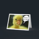 CARTÃO BABY DUCK SAYS HOPE YOUR BIRTHDAY IS JUST DUCKY<br><div class="desc">THIS IS GREAT FOR THE PERSON IN YOUR LIFE FOR "ANY BIRTHDAY" THEY MAY BE CELEBRATING FOR THIS DUCK IS SERIOUS... LOOK AT THAT FACE</div>