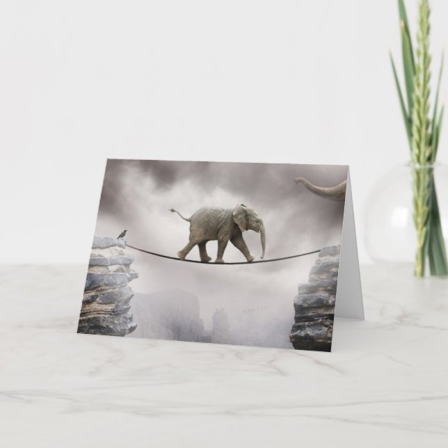Cartão Baby Elephant Walks The Tightrope (Frente)