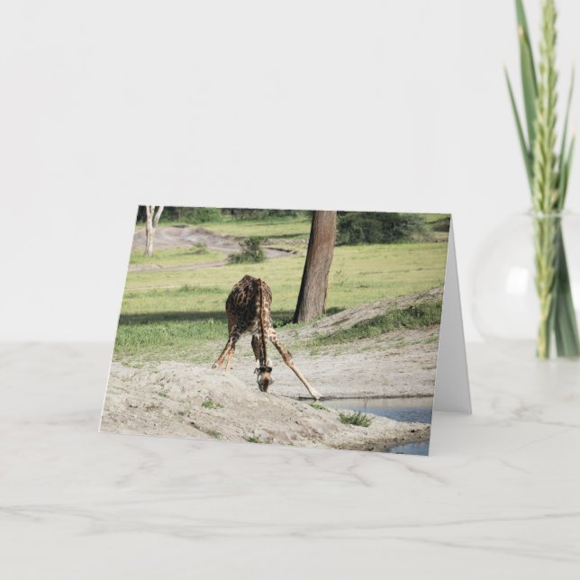 Cartão Baby Giraffe (Vitelo) Bebendo (Frente)