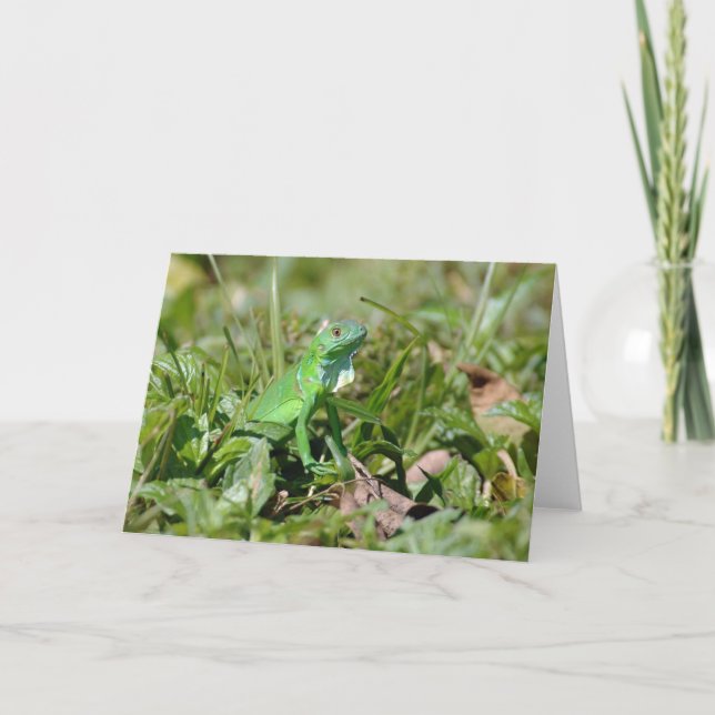 Cartão Baby Green Card (Frente)