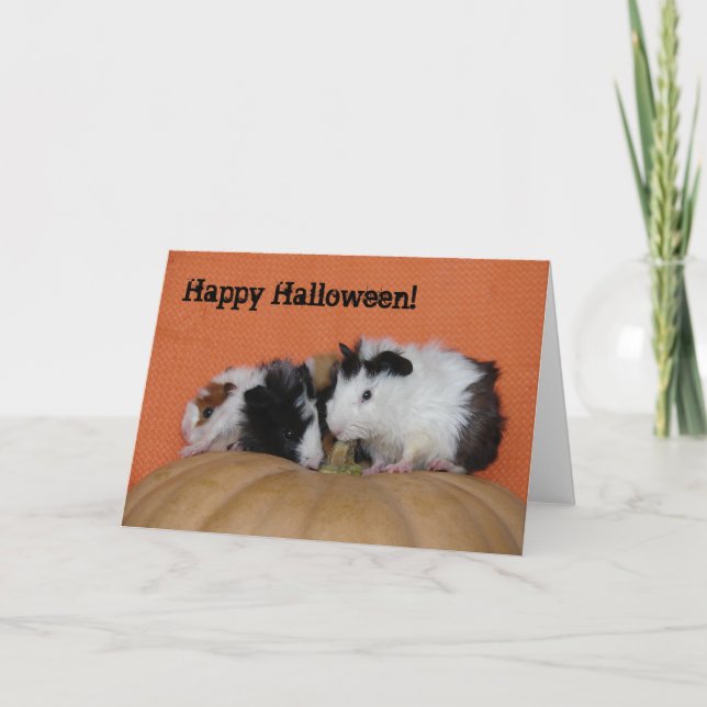 Cartão Baby Guinea Pigs, Happy Halloween! (Frente)