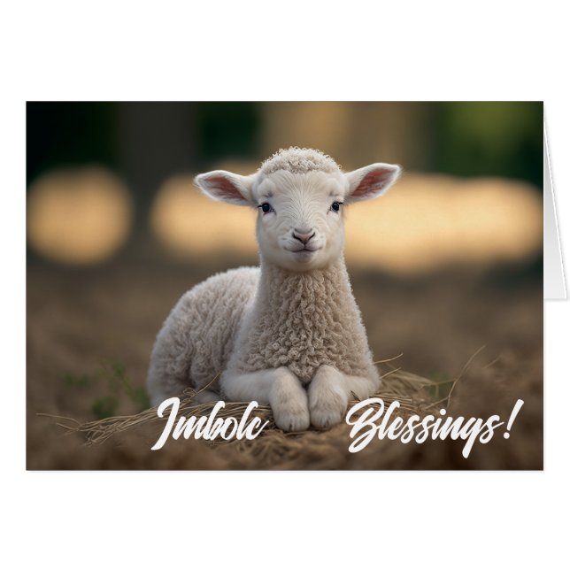 Cartão Baby Lamb Imbolc Blessings (Frente Horizontal)