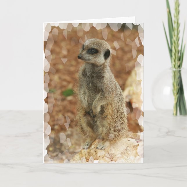 Cartão Baby Meerkat Greeting Card (Frente)