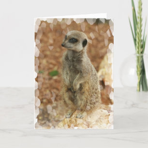 Cartão Baby Meerkat Greeting Card