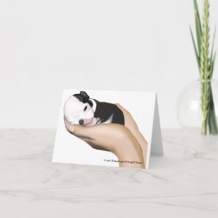 Cartão Baby Miter Note Cards