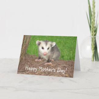 Cartão Baby Opossum Mother's day