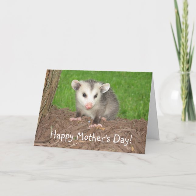 Cartão Baby Opossum Mother's day (Frente)