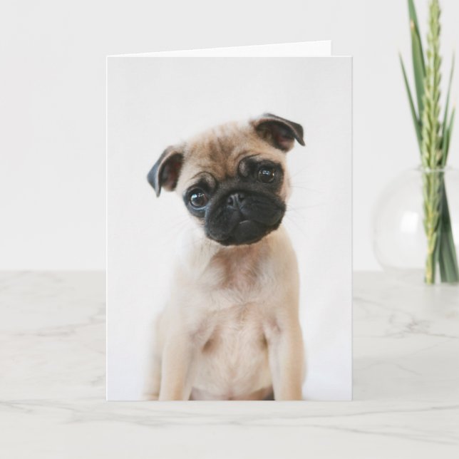 Cartão Baby Pug Portrait (Frente)