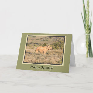 Cartão Baby Rhino Happy Birthday