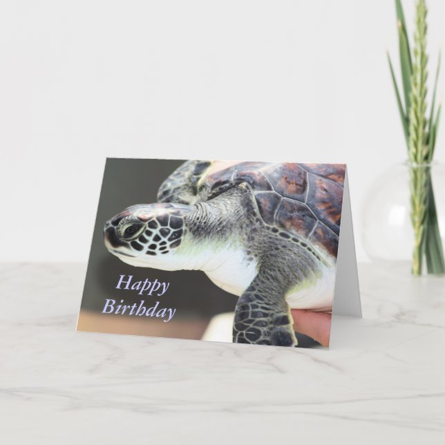 Cartão Baby Sea Turtle Birthday Card (Frente)