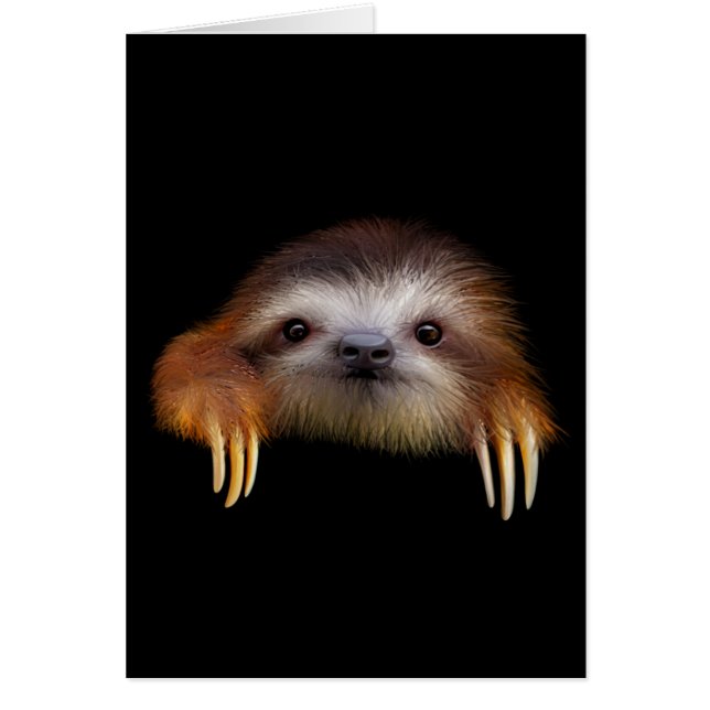 Cartão Baby Sloth (Frente)