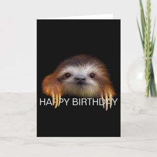 Cartão Baby Sloth Birthday Card