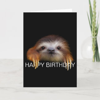 Cartão Baby Sloth Birthday Card
