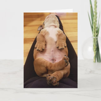 Cartão Baby Thor The Bulldog Greeting Card