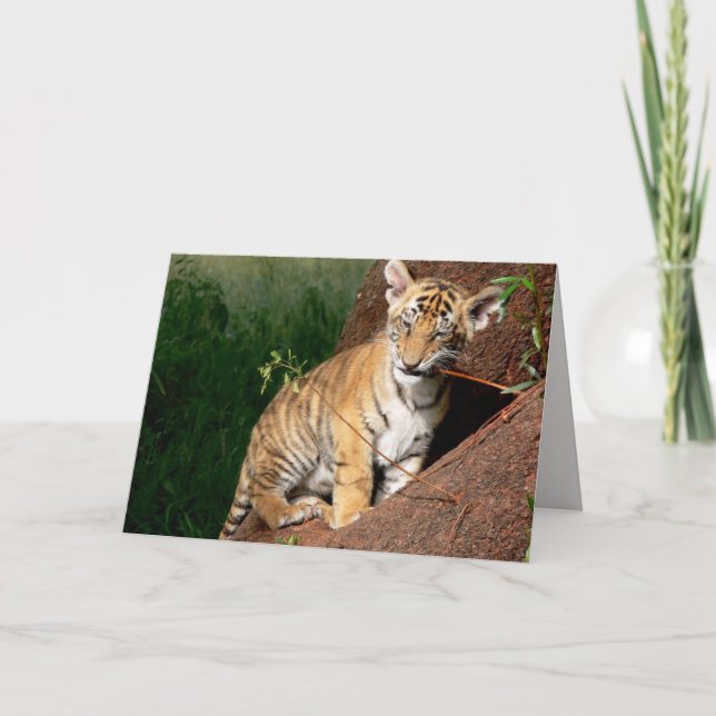 Cartão baby tiger greeting card  (Frente)