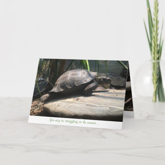 Cartão baby tortoise greeting card (encouragement) (Frente)