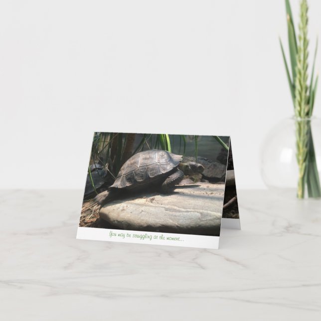 Cartão baby tortoise notecard (encouragement) (Frente)