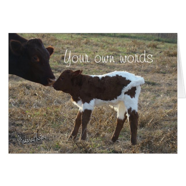 Cartão BabyBliss-algum ocasião-personalize (Frente Horizontal)