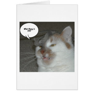 Cartão Bachelor Party Humor