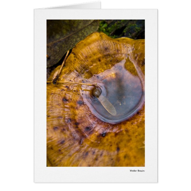 Cartão Bacia da água (Frente)