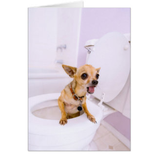 Cartão Bacia de toalete (a água foi drenada para fora)