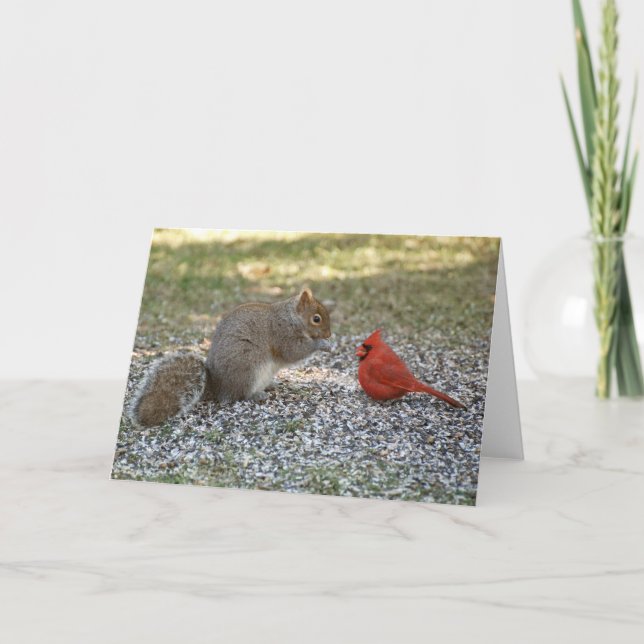 Cartão Backyard Gossip (Frente)