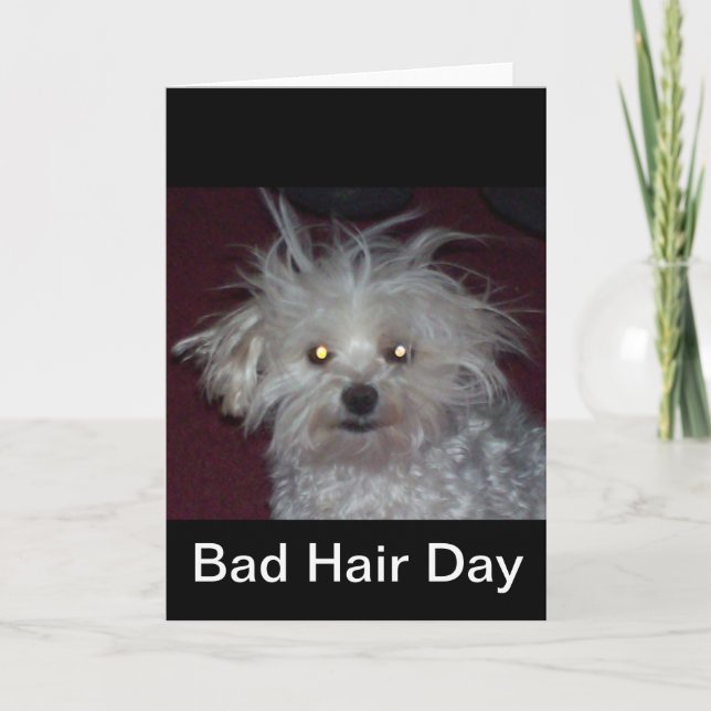 Cartão Bad Hair Day - Dog and People Humor (Frente)