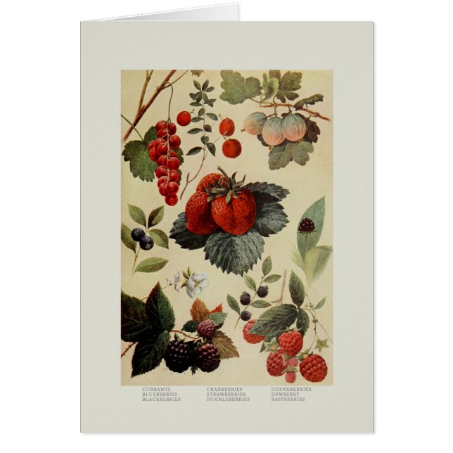 Cartão Bagas (Frente)