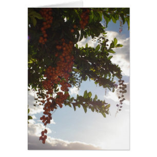 Cartão Bagas do céu