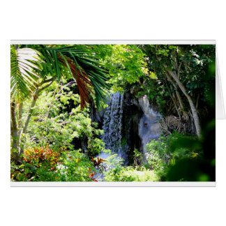 Cartão Bahamas — Waterfall