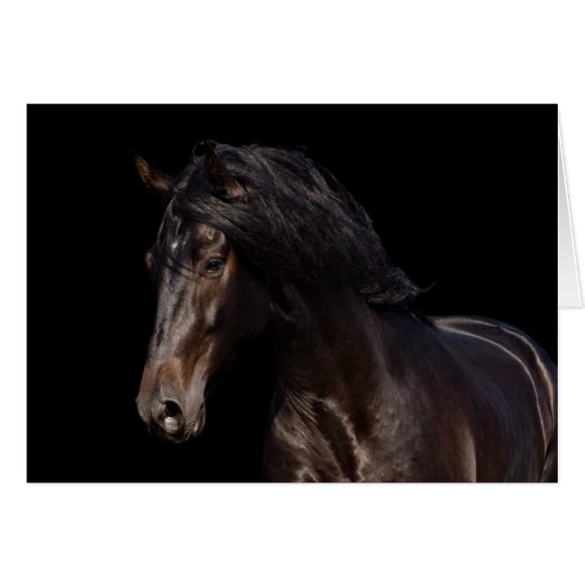 Cartão Baía escura (Frente Horizontal)